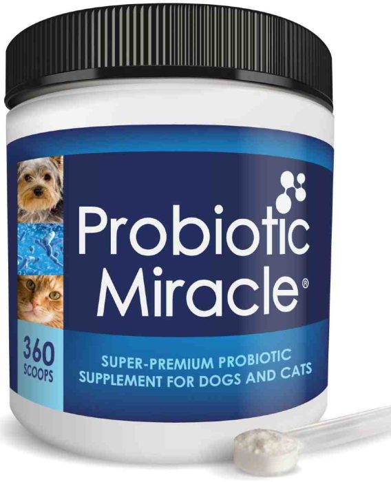 NUSENTIA Probiotic Supplement for Dogs