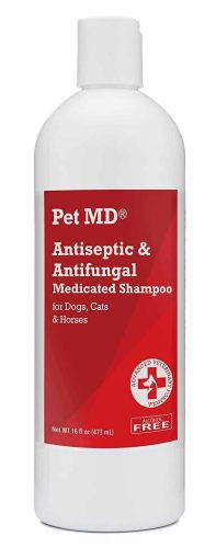 Pet MD antifungal dog shampoo