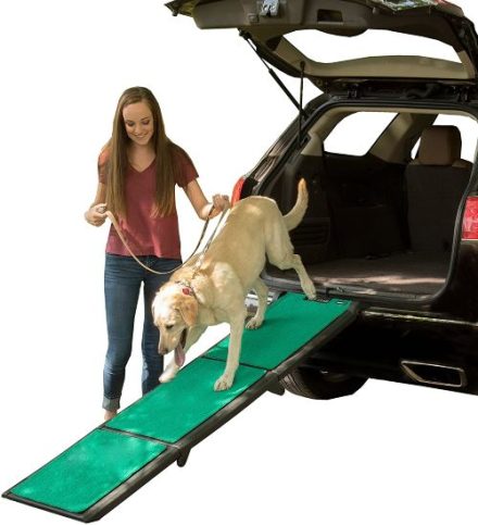 PetGear Dog Ramp