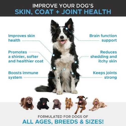 Pethonesty-Omega-Salmon-Chews-Supplement-Benefits