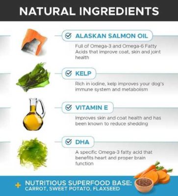 PetHonesty Omega Salmon Supplement - Natural Ingredients