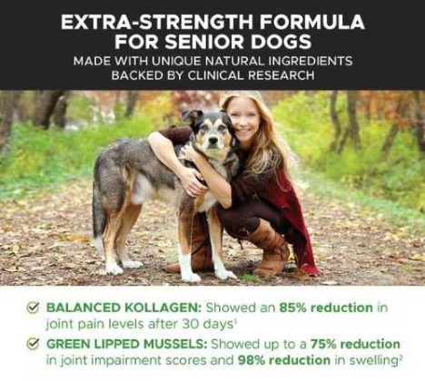 Extra Strength Formula for Senior Dogs