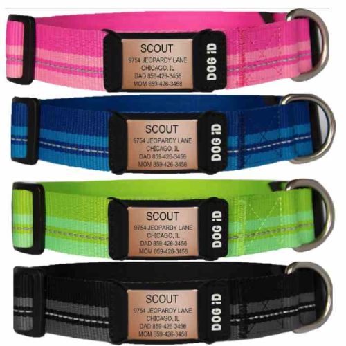 ROAD iD Personalized Buckle Dog Collar Tag