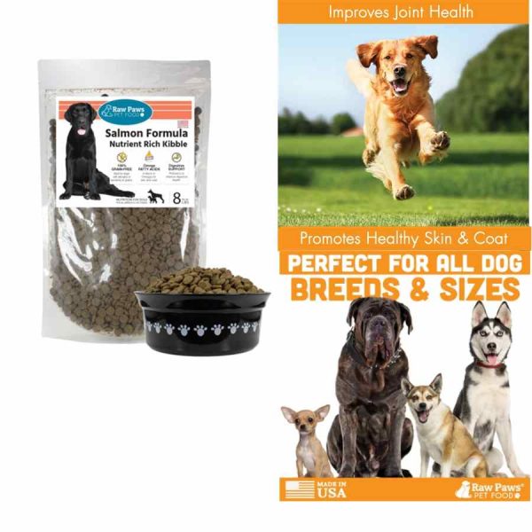 Best Dog Food For Allergies 2022, Top 10 Dry Dog Food, Grain Free